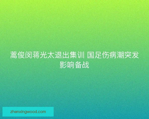 蒿俊闵蒋光太退出集训 国足伤病潮突发影响备战 蒿俊闵蒋光太退出集训 国足伤病潮突发影响备战